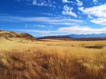 Scenic view of field against sky