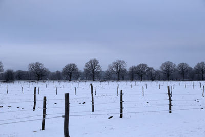 Scenic view of trees on field against sky during winter