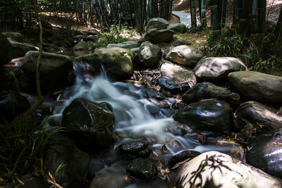 Waterfall in forest