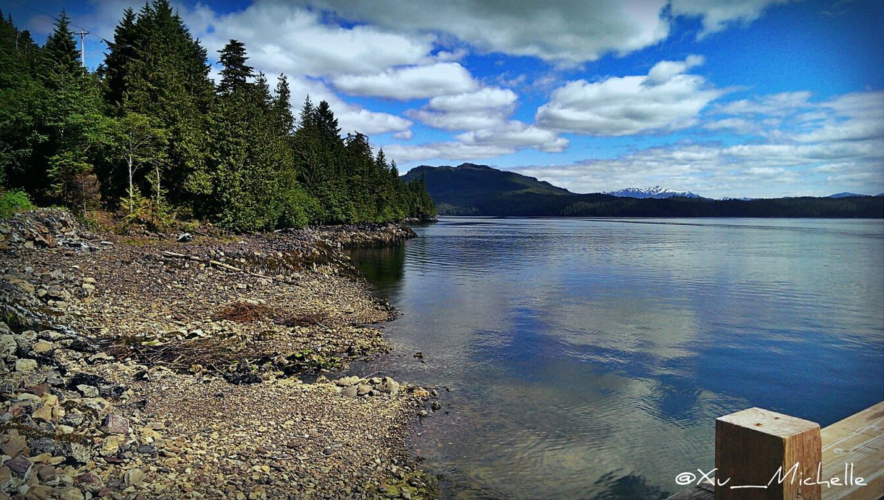 water, sky, tree, cloud - sky, tranquility, tranquil scene, scenics, lake, reflection, nature, beauty in nature, cloud, river, cloudy, idyllic, day, non-urban scene, outdoors, no people, lakeshore