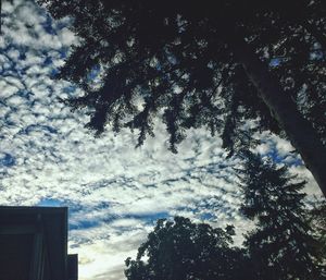 Low angle view of silhouette trees against sky