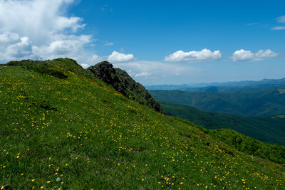 nature