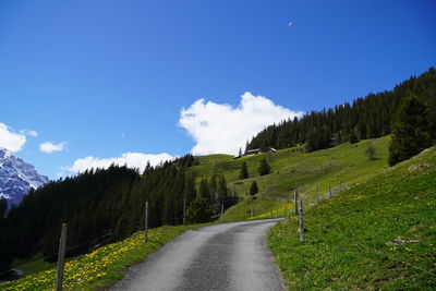 Road amidst trees against sky