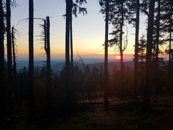 Silhouette trees in forest against sky during sunset