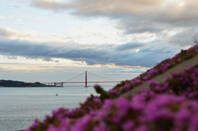 View of bridge against cloudy sky