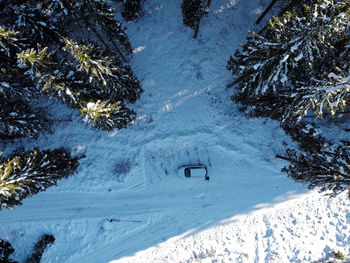 High angle view of frozen trees on snow covered land