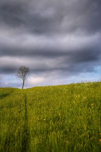 Scenic view of field against cloudy sky