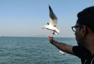 Low angle view of seagull flying over sea against sky