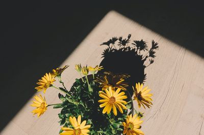 High angle view of yellow flower on table