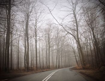Road amidst bare trees in forest