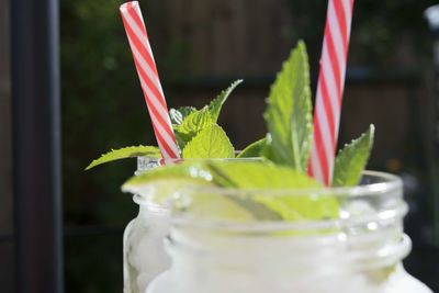 Close-up of mojito cocktail