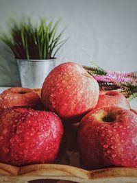 Close-up of wet apples in container against wall