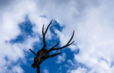 Low angle view of deer on tree against sky