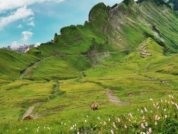 Scenic view of landscape against sky