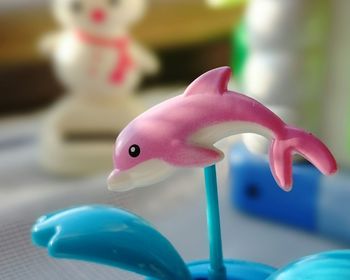 Close up of multi colored toy