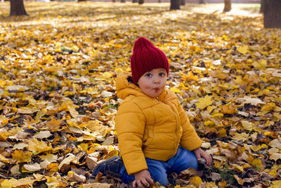 Boy in a yellow jacket and a red knitted hat sit in the autumn forest