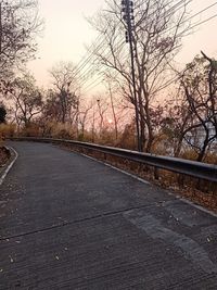 Surface level of road by bare trees against sky
