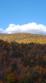 Scenic view of landscape against sky during autumn