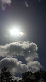 Low angle view of trees against sky