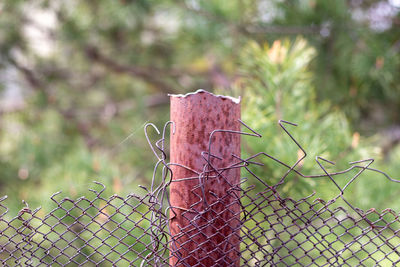 fence