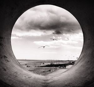 Cloudy sky over landscape