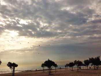 sky