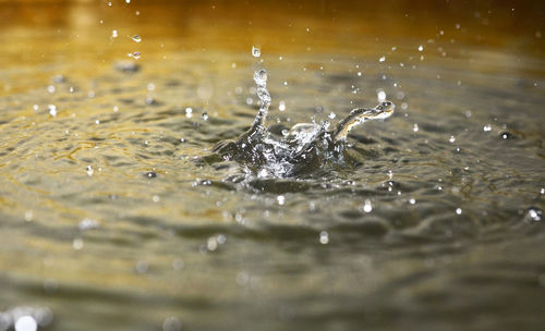 Close-up of water splashing in lake