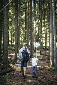 Rear view of father holding picnic basket while daughter with fishing net walking in forest