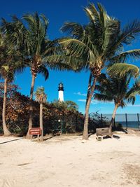 Palm trees against clear blue sky