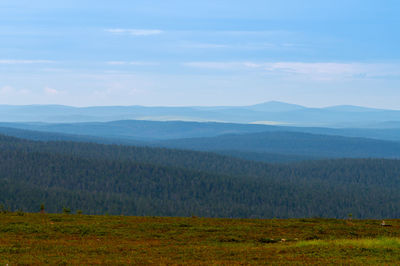 A beautiful natural view of the wilderness at the peak of kaunispää fell in saariselkä, lapland.