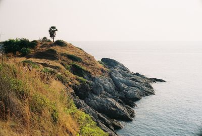 Scenic view of sea against clear sky