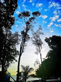 Low angle view of silhouette trees against sky