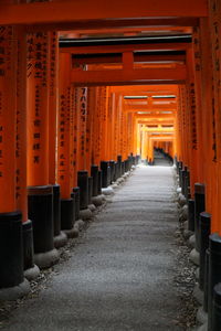 Empty footpath amidst torii gates