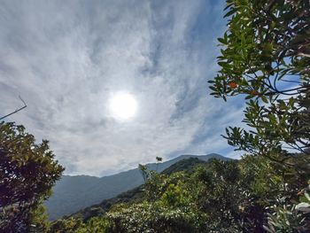sky