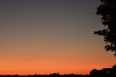 Silhouette trees against clear sky at sunset