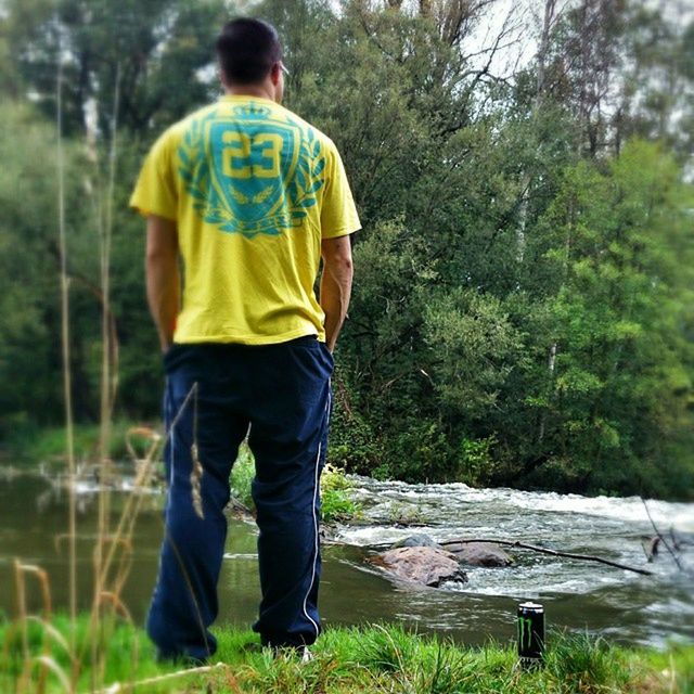 tree, lifestyles, rear view, casual clothing, leisure activity, forest, men, standing, focus on foreground, full length, nature, green color, day, boys, three quarter length, growth, grass, outdoors