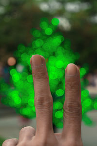 Close-up of person hand holding green leaf