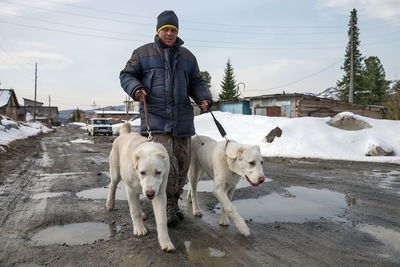 A man walks two dogs along the spring road.