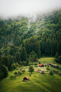 Scenic view of village and mountain against mist