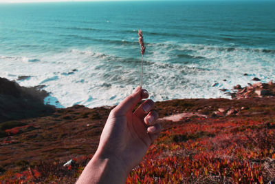 Cropped hand holding twig at beach