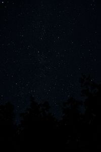 Low angle view of stars in sky