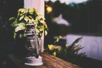 Lantern on table by plant during sunset