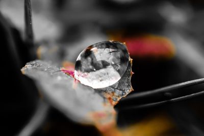 Close-up of ice cream cone on metal