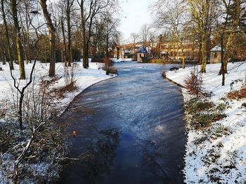Frozen canal amidst bare trees during winter