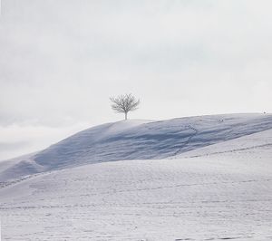 Scenic view of snow covered land against sky