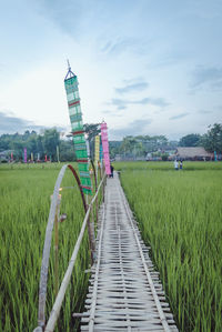 Footpath amidst agricultural field against sky