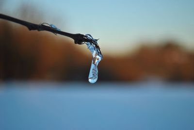 Close-up of water drop hanging against blue sky