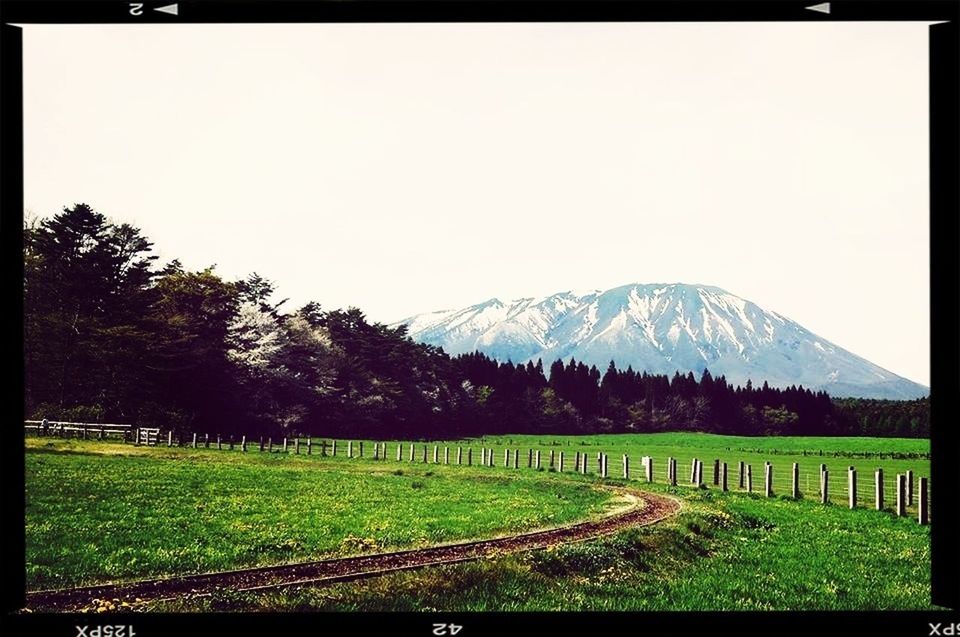 transfer print, mountain, clear sky, tranquil scene, landscape, tranquility, tree, auto post production filter, beauty in nature, scenics, mountain range, nature, grass, field, green color, growth, copy space, sky, non-urban scene, day