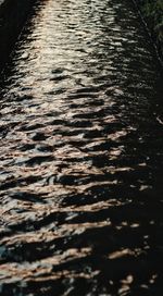 High angle view of footpath in water