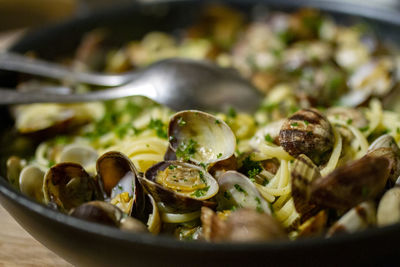 Close-up of oysters in bowl